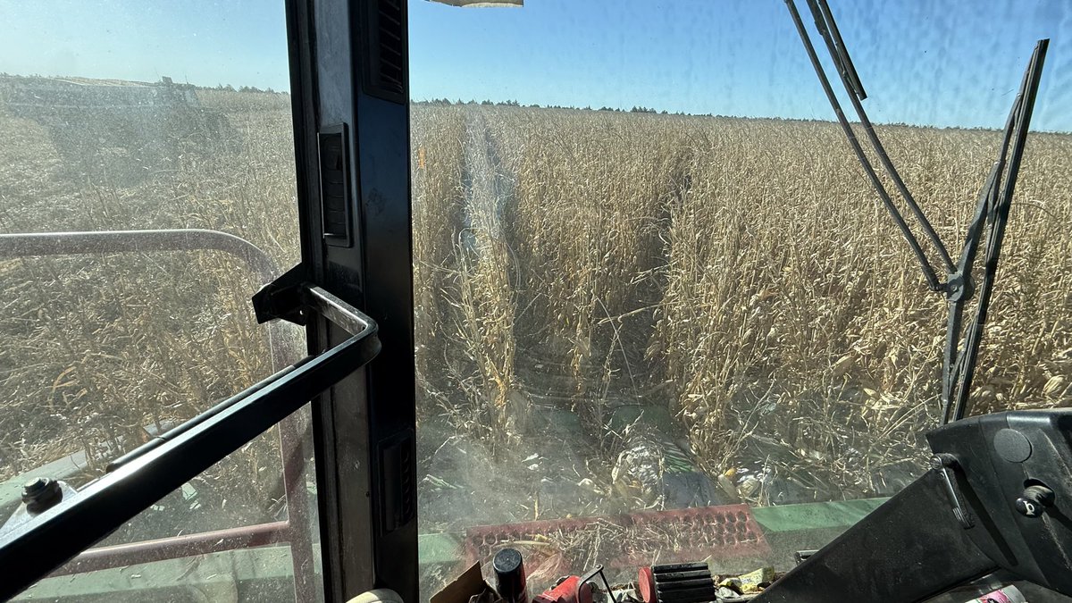 Brittany Bartak, CCA tweet media