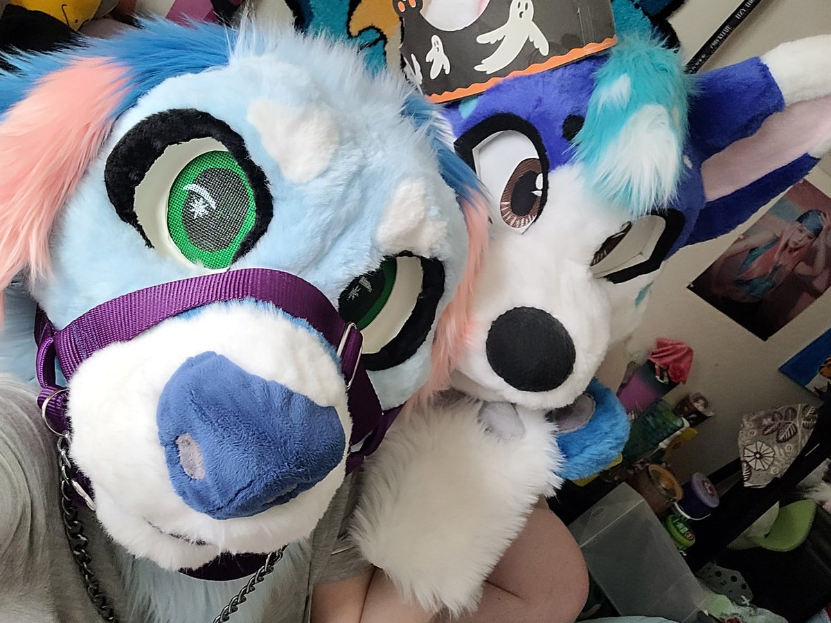 Nothing is better than my sweet love visiting me 🥹💕💘💕 peep them borrowing Gatorade 🤗🤭

Nova 🪡: me!
Gatorade 🪡: <a href="/Fuzz_Sunday/">🪡ThereWillBeFuzz🪡</a>