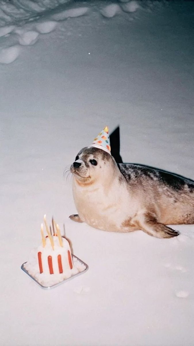 uni_sand's tweet image. #sealtwt #seal #sealart !! 🦭