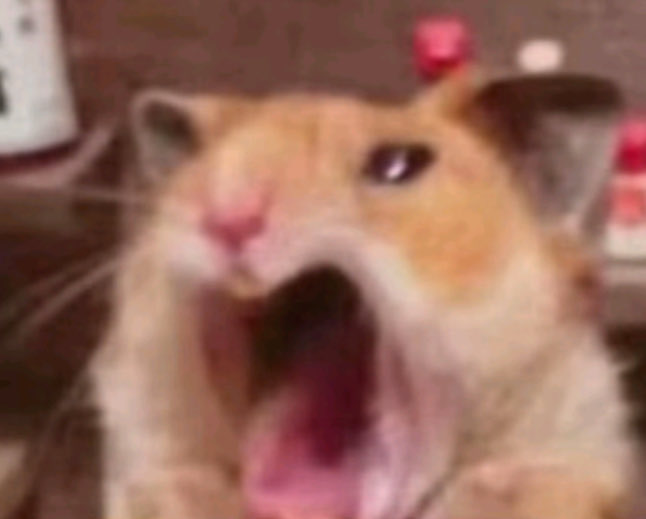 هل ولا ما هل