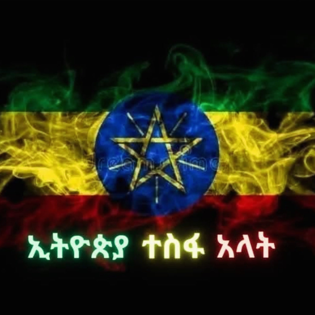 ኢትዮጵያ ብዙ ችግሮች አሉባት። በተለይ ባለፉት ሰባት አመታት ዘረኞች ተፈተው በተለቀቁበት፣ የውጪ ጫና በበዛበት፣ የሰሜኑ ጦርነትን ጨምሮ በውጭ ሃይሎች እገዛ በየቦታው የሚደረጉ የፋኖና የሸኔ ጥቃቶችን ሐገራችን ኢትዮጵያ ችላ እያሳየች ያለችው