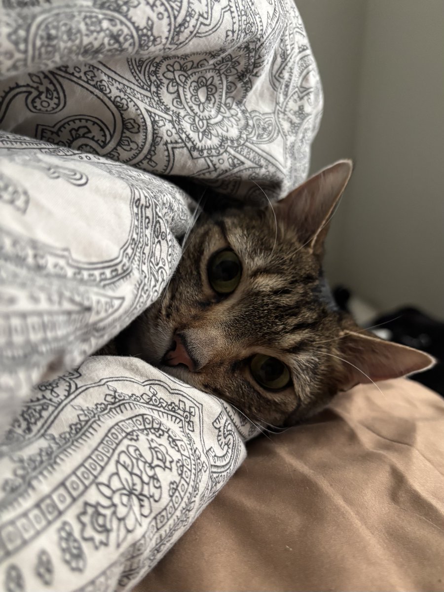 happy birthday jovi b. goode! ♥️🎉🎊🎈