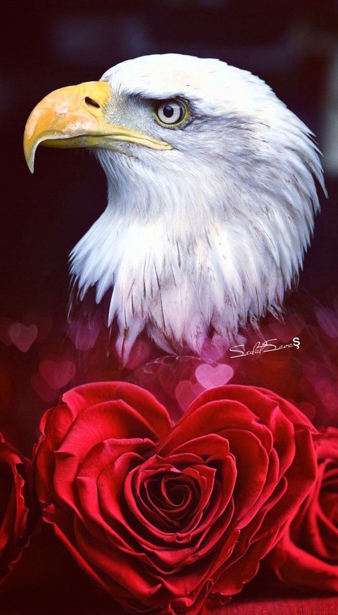 Wednesday list  3
🇺🇸Follow and repost🇺🇸🚀

🇺🇸🕊️<a href="/IdleMind247/">IdleMind🦅</a>
🇺🇸🕊️<a href="/AltZy47689/">الحدوب التعزي</a>
🇺🇸🕊️<a href="/FRmxCarWiwOB4Pn/">TERU</a>
🇺🇸🕊️<a href="/Hemiunu2021/">Tribute2Hemiunu</a>
🇺🇸🕊️<a href="/charlypool222/">©️H🅰️®️♌️¥ 🦁💙💛💙🧞‍♂️</a>
🇺🇸🕊️<a href="/gurudeportes30/">Walter 🚫 DM Fuera de X</a>
🇺🇸🕊️<a href="/Ray191064Ray/">Naomi Ray🪡⛓️</a>
🇺🇸🕊️<a href="/Rickterras/">End Invasion ⚜️🌿</a>
🇺🇸🕊️<a href="/NotHedyLamar/">Not Hedy Lamar</a>
🇺🇸🕊️<a href="/AndraCastilho3/">Andrada & Camelo....Farma BR/USA</a>