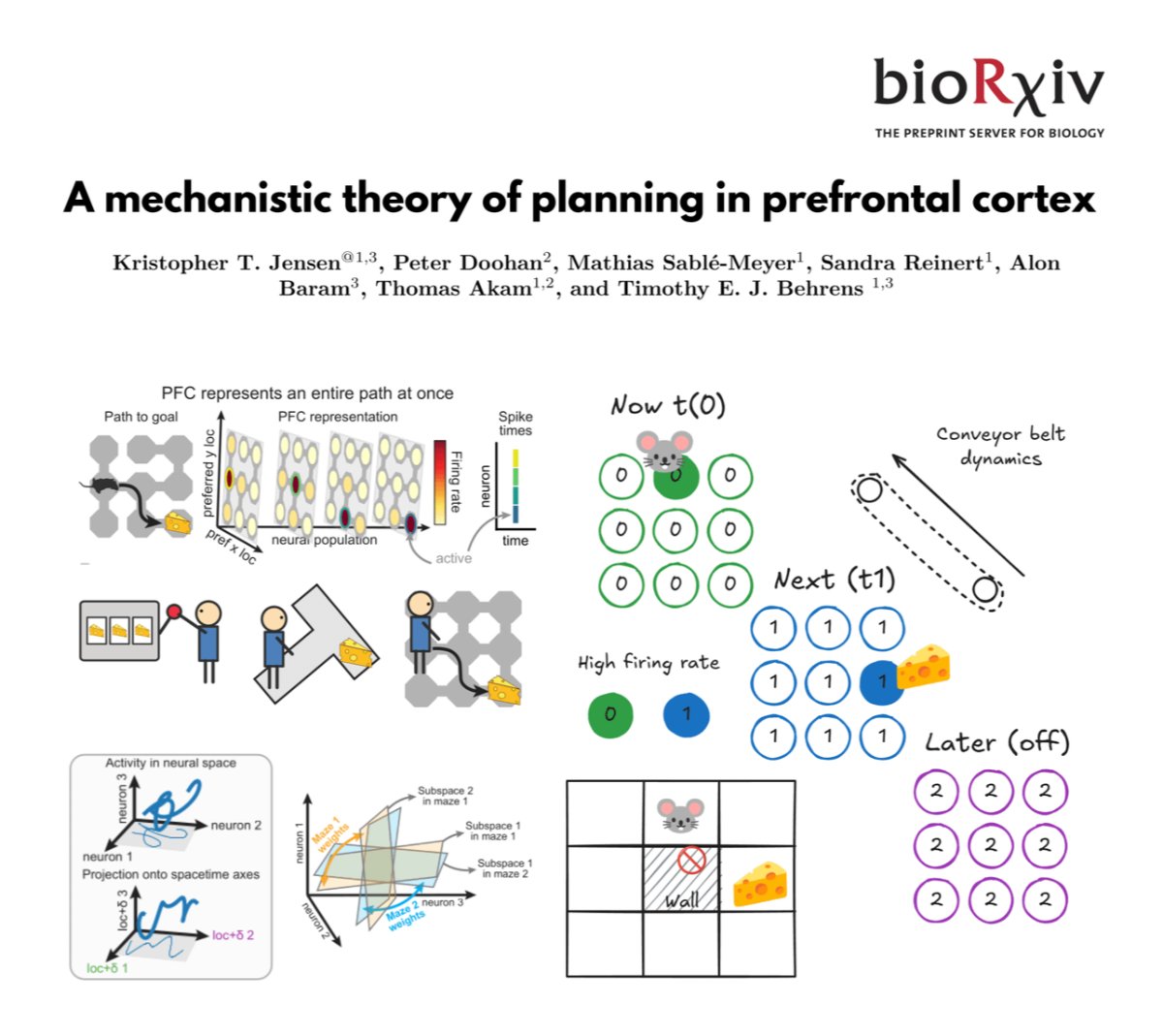 neurosock's tweet image. To plan the future, the PFC represents a step-by-step map of actions, and at every step, this plan moves to the past like a conveyor belt.

This proposes a super simple neural-subspace architecture for planning.

A toy environment can clarify it.

Here is my toy model and notes: