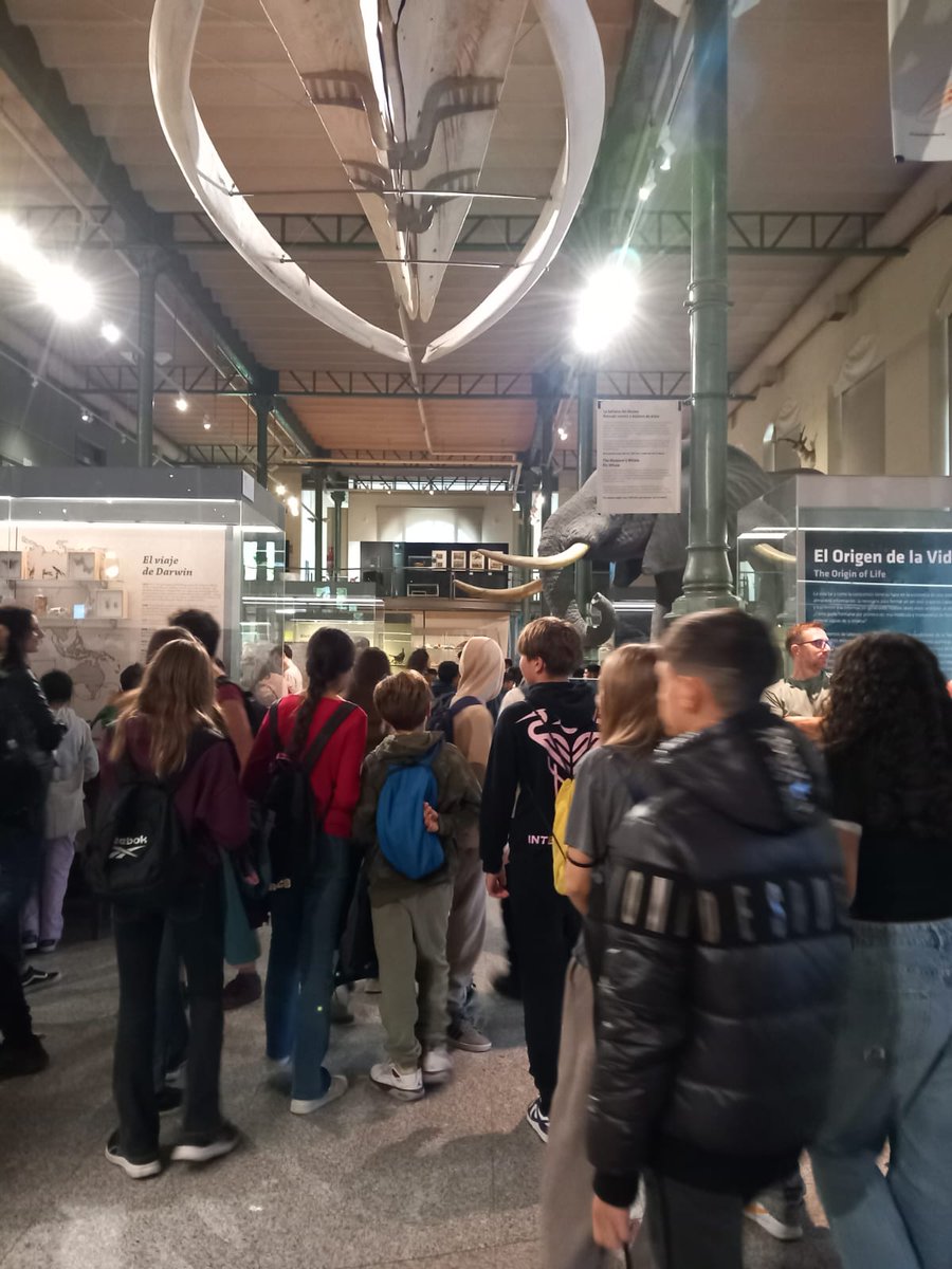 Los alumnos de 1° de ESO inician su andadura en el Trabajo por Proyectos de este curso 2025/26, que lleva por título "Museando",  con la visita y la actividad "Biodiversidad" en el Museo de Ciencias Naturales.