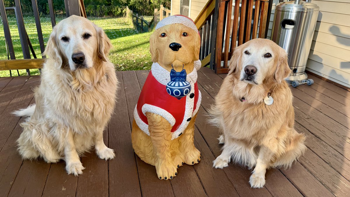 “Sophie, we’ve got another new recruit for upcoming holiday duty.”

“I know, Pete. He’s another strong,  silent type. I told him he’d be meeting all the others soon. He didn’t say anything, but he smiled.  I think he’s going to be another good one.”

#BrooksHaven