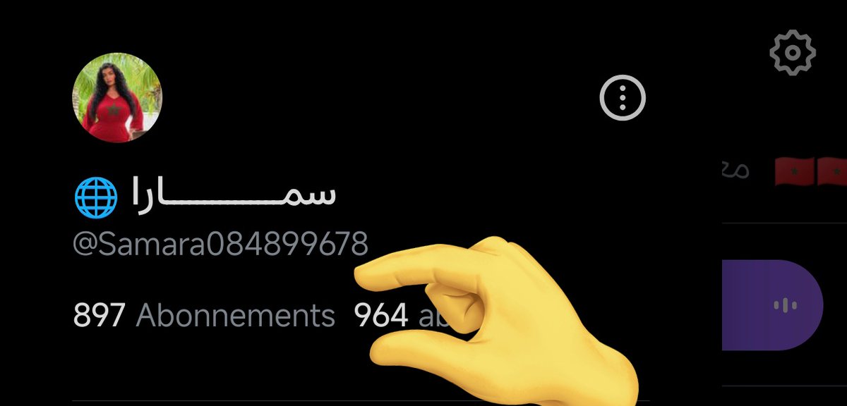 🅂🄰🄼🄰🅁🄰🇲🇦🤝🇺🇸 tweet media