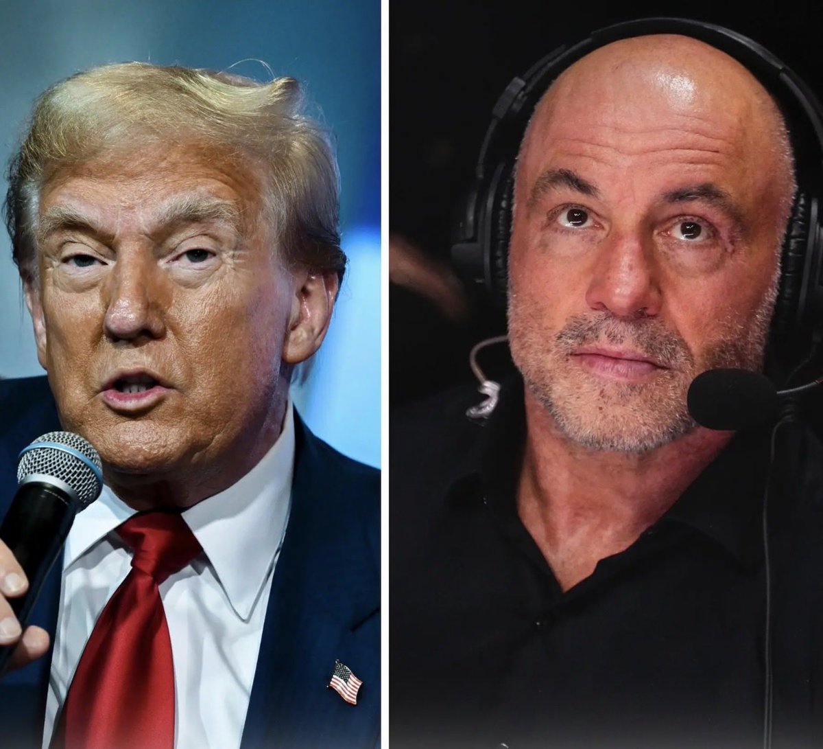 MAGA Voice tweet media