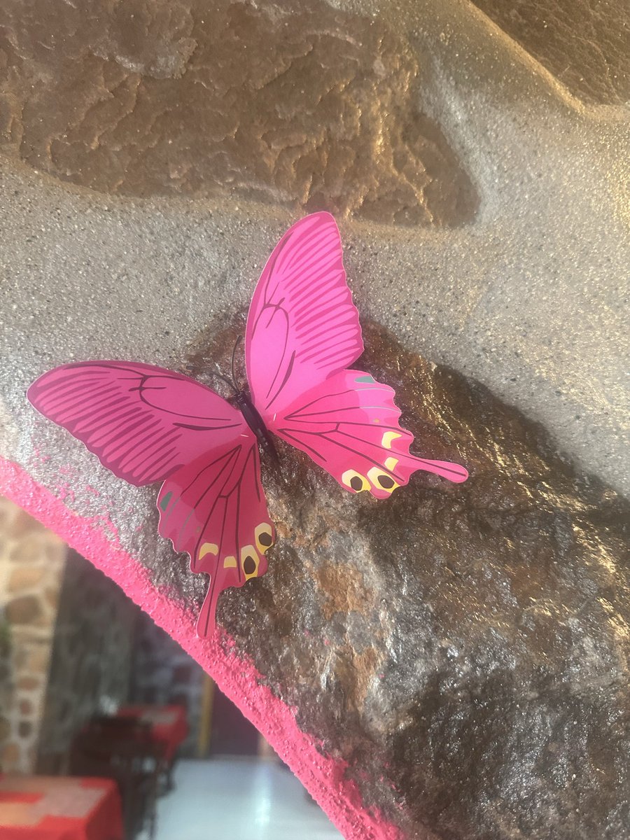 KimberleyKates's tweet image. When you meet minds that operate on a higher frequency…

Timechain Consulting helped me so so much. I’m so appreciative guys. You’re truly the best 💛

Sooraj, you’re a genius. Thank you so much with your fantastic problem solving on all of my projects. So grateful 🙏🏻

Can’t…