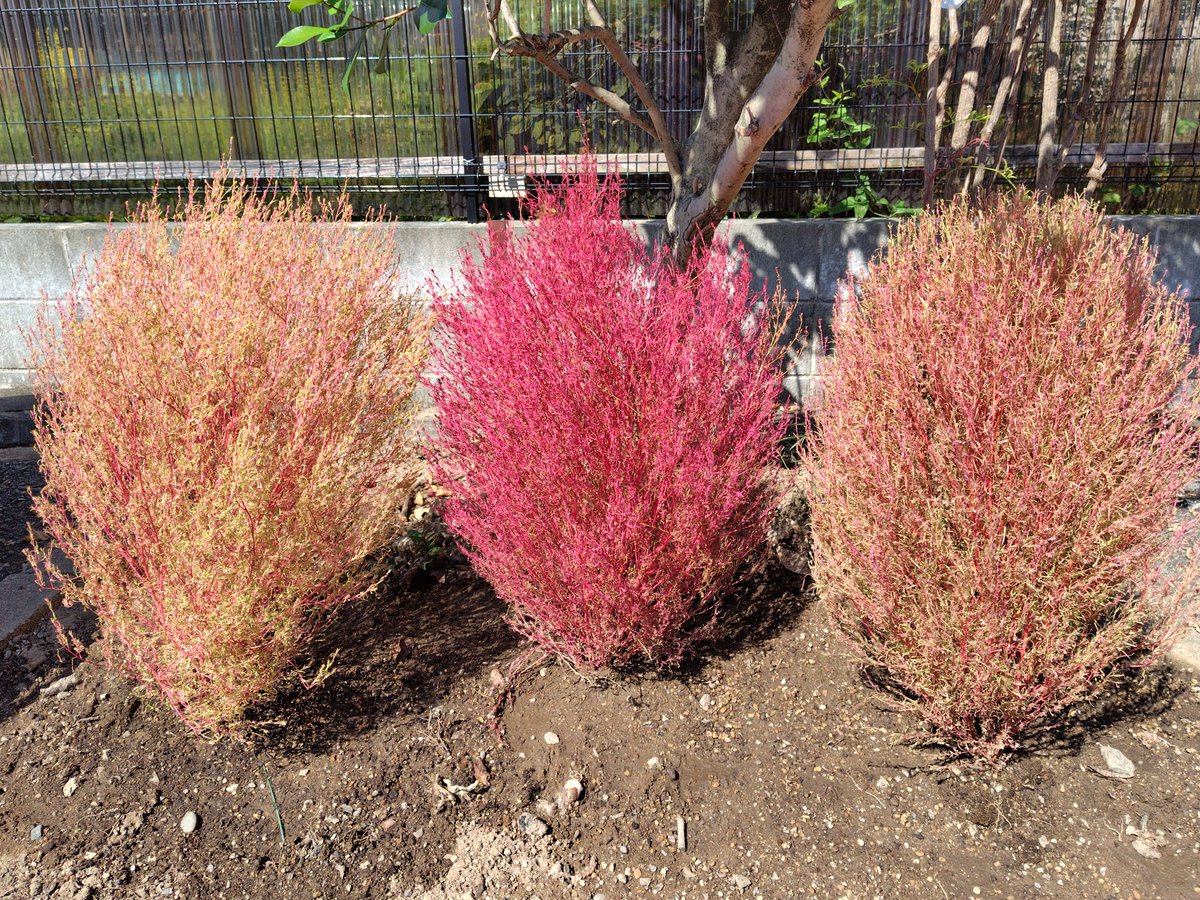 あいうえおかき HN-V080SE/AM | Deviser ｜株式会社ディバイザー｜長野県松本市