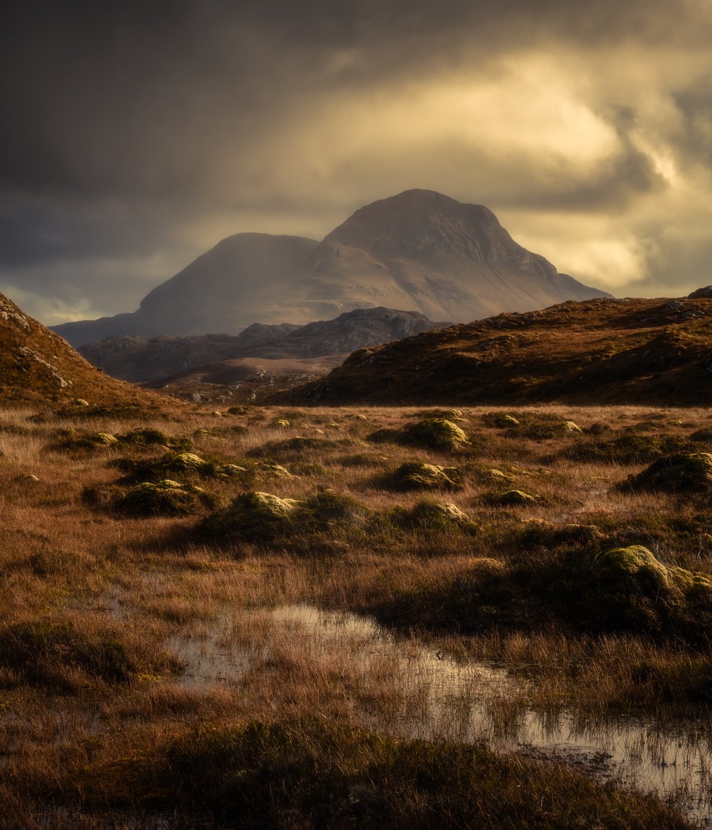 Game Changing Houston Gallery Relaunches in River Oaks: Why Nancy  Littlejohn's New Space is Guaranteed to Make Major Art Noise, image size:1029x1200