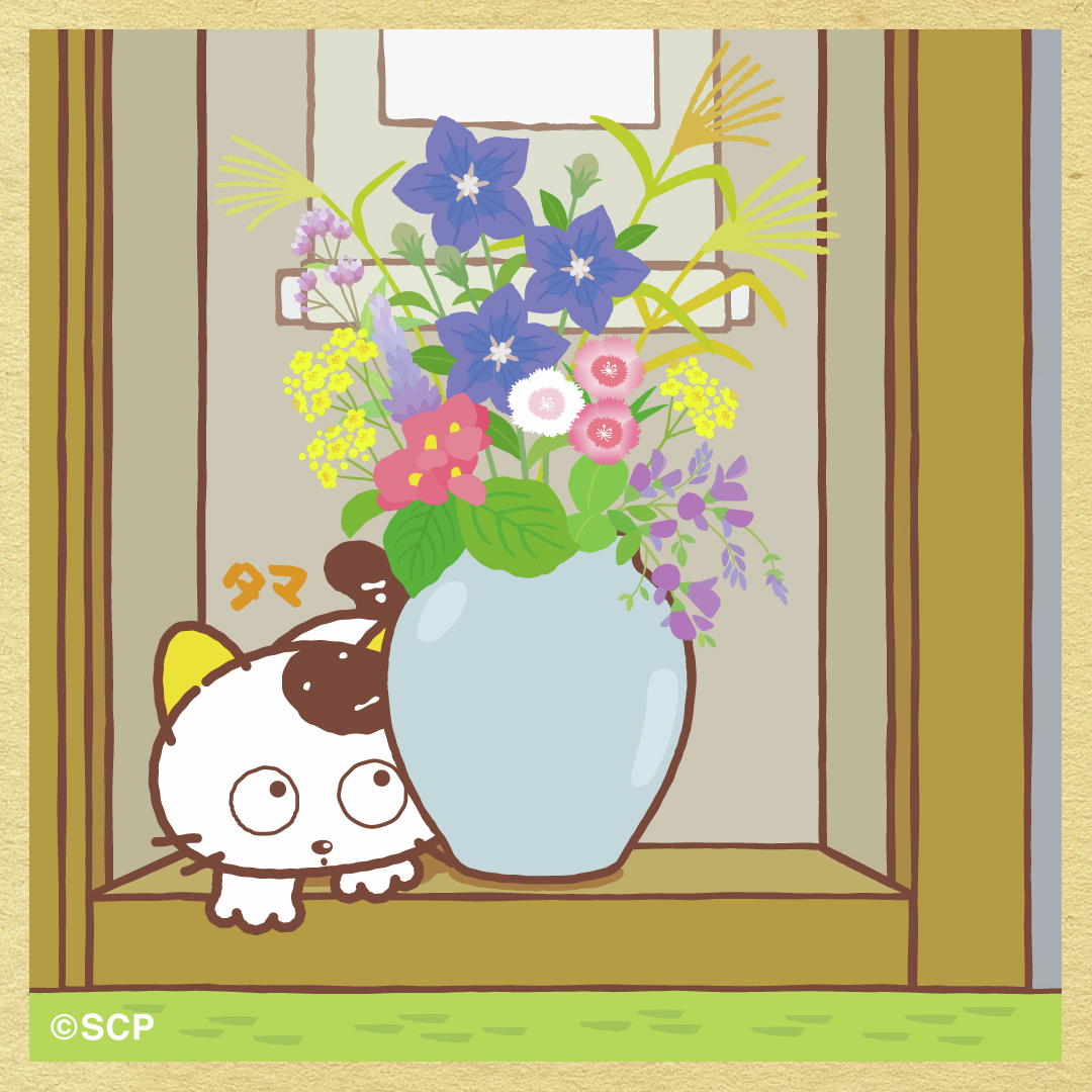 秋の七草 萩（ハギ）・ススキ・桔梗（キキョウ）・葛（クズ）・女郎花