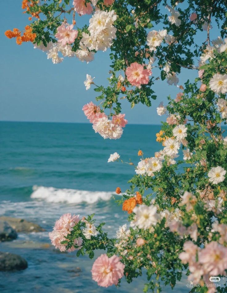 blue dream (@bluedreamvibes) on Twitter photo 