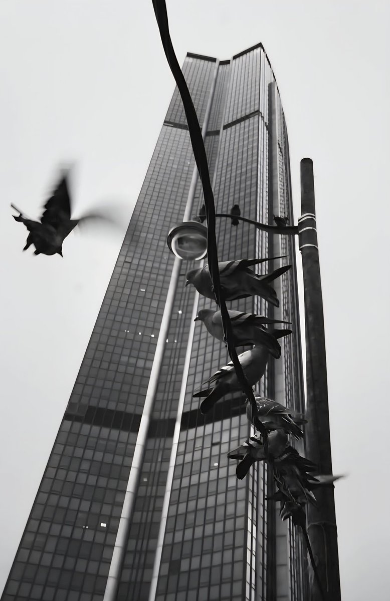 Faux départ...

📷 maïa Purusha