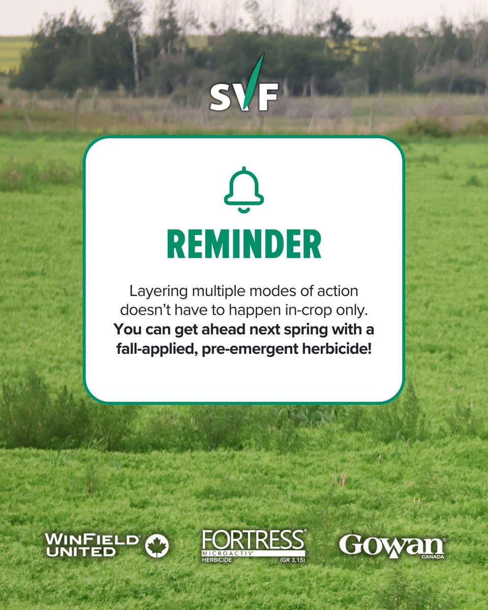 Kochia and wild oats can be tough competitors, which is why starting clean with a strong pre-seed plan pays off. Soil-active herbicides add new modes of action that aren’t available in-crop, helping extend the life of existing tools while setting up the season for cleaner fields