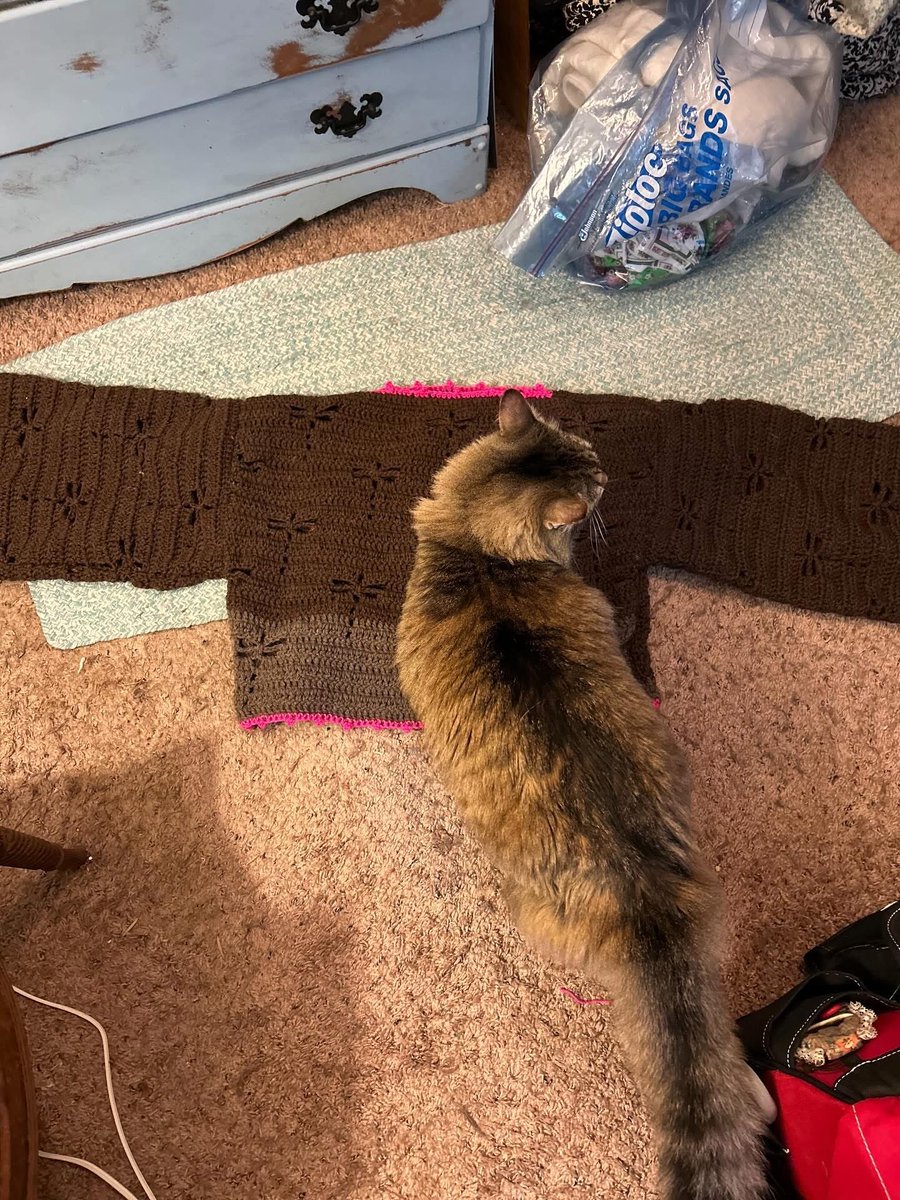 cinamingrl48's tweet photo. Finished crocheting this Dragonfly motif sweater today. I think my cat likes it, it’s wool yarn. https://t.co/A6Yb9Qe0yt