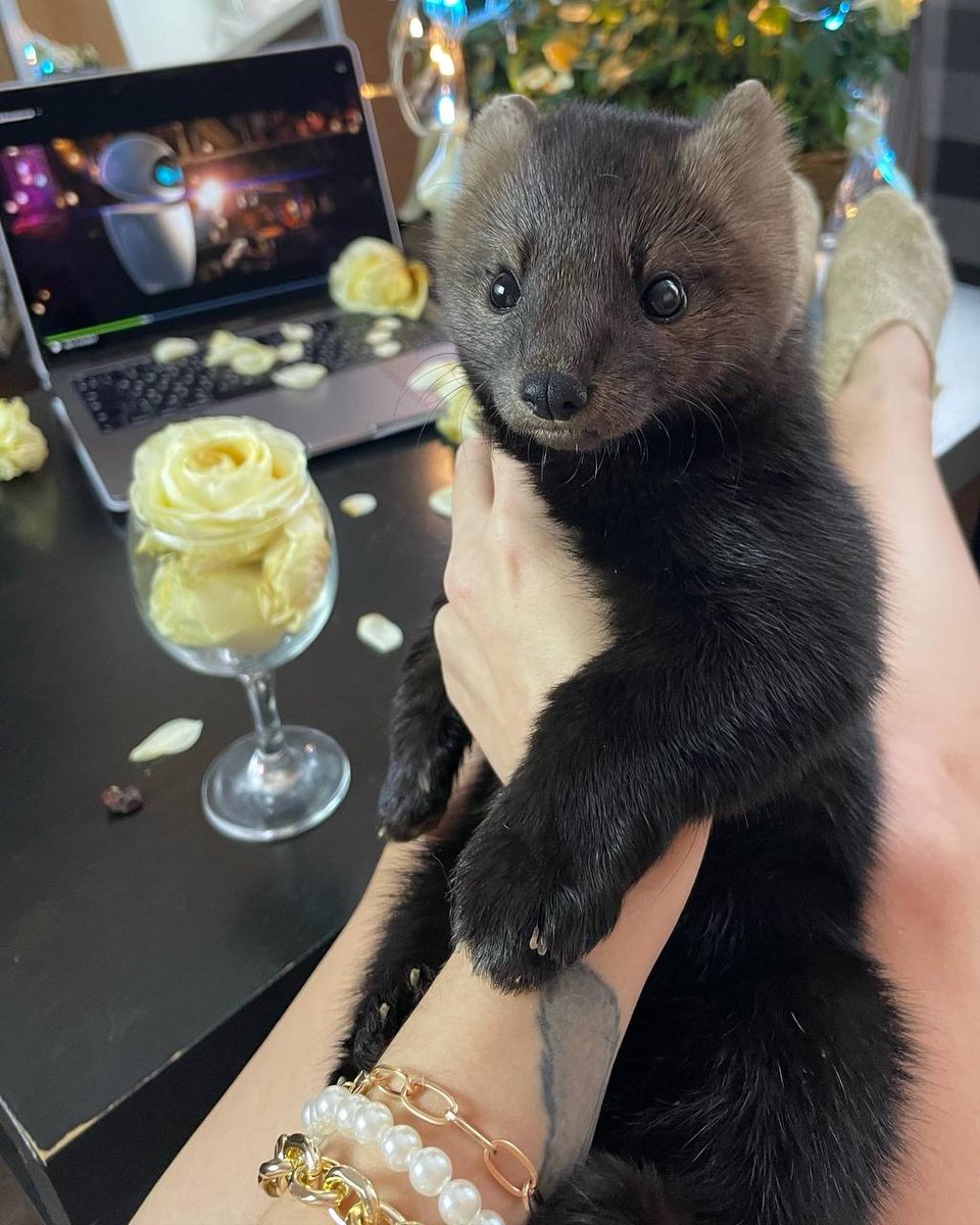 movie night 😊😊😊