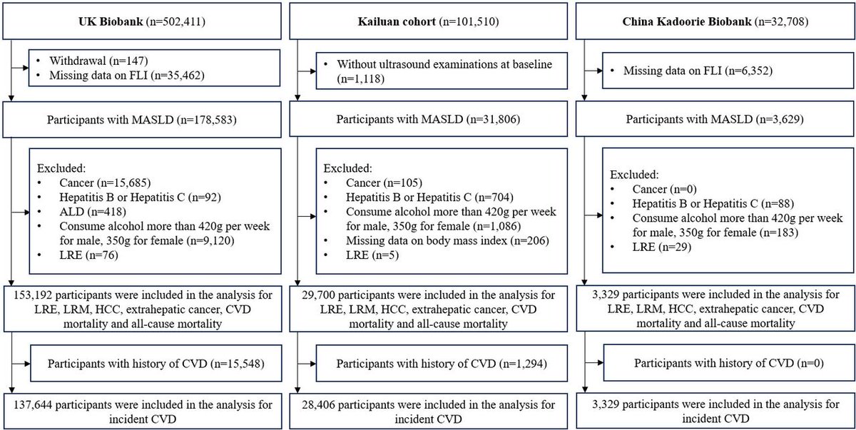 New #GUTOnline paper by Huo et al entitled

"Long-term prognosis of lean MASLD: evidence from three population-based prospective cohorts" via bit.ly/4ouUZy3

#MASLD #LiverTwitter