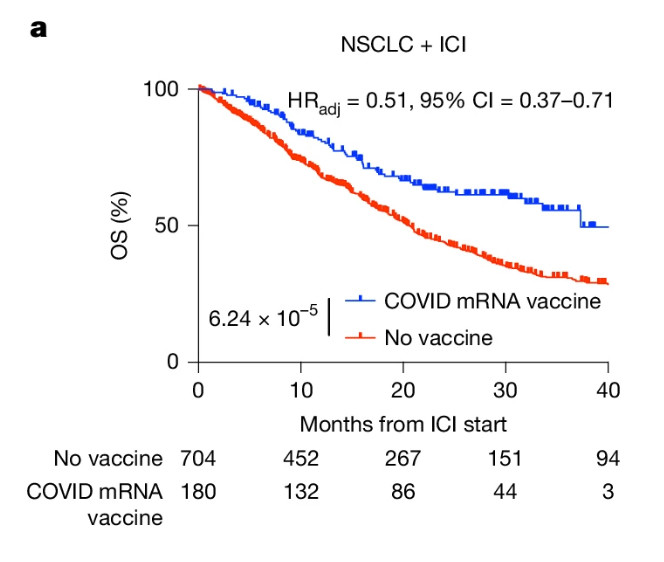 Leif Erik Sander🇺🇦 tweet media