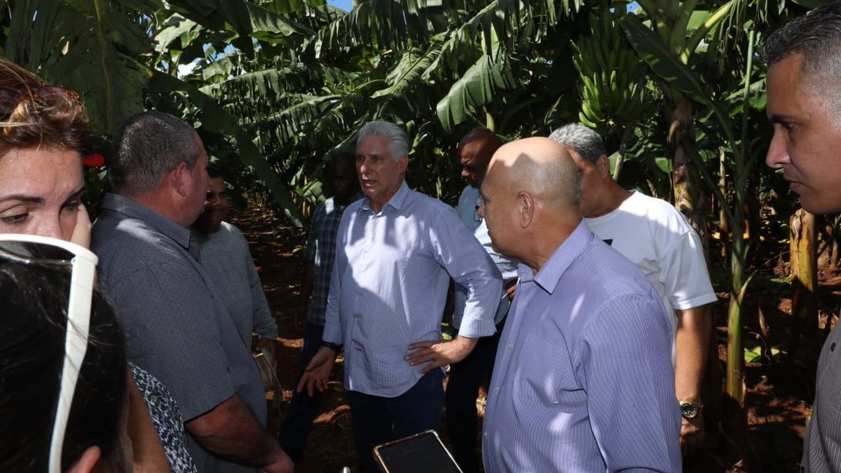 DrRobertoMOjeda's tweet photo. La empresa agropecuaria Horquita tiene un enorme potencial para ofrecer más alimentos a los pobladores del municipio Abreus. Sobre como lograr este imprescindible objetivo conversamos con algunos de sus trabajadores al recorrer parte de sus áreas junto a @DiazCanelB. https://t.co/7aR4yUrRac