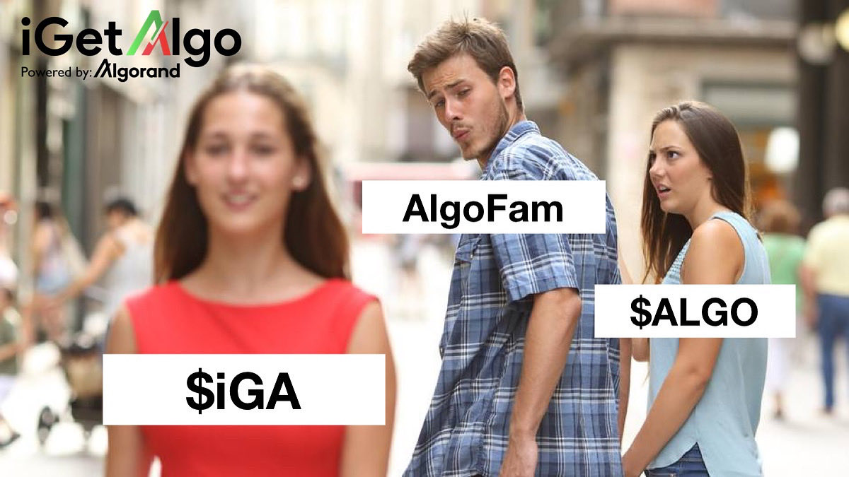 iGetAlgo's tweet image. Wanna revolt but wanna stay? $ALGO
You know where to find us… $iGA
But just in case: vestige.fi/asset/26359923…