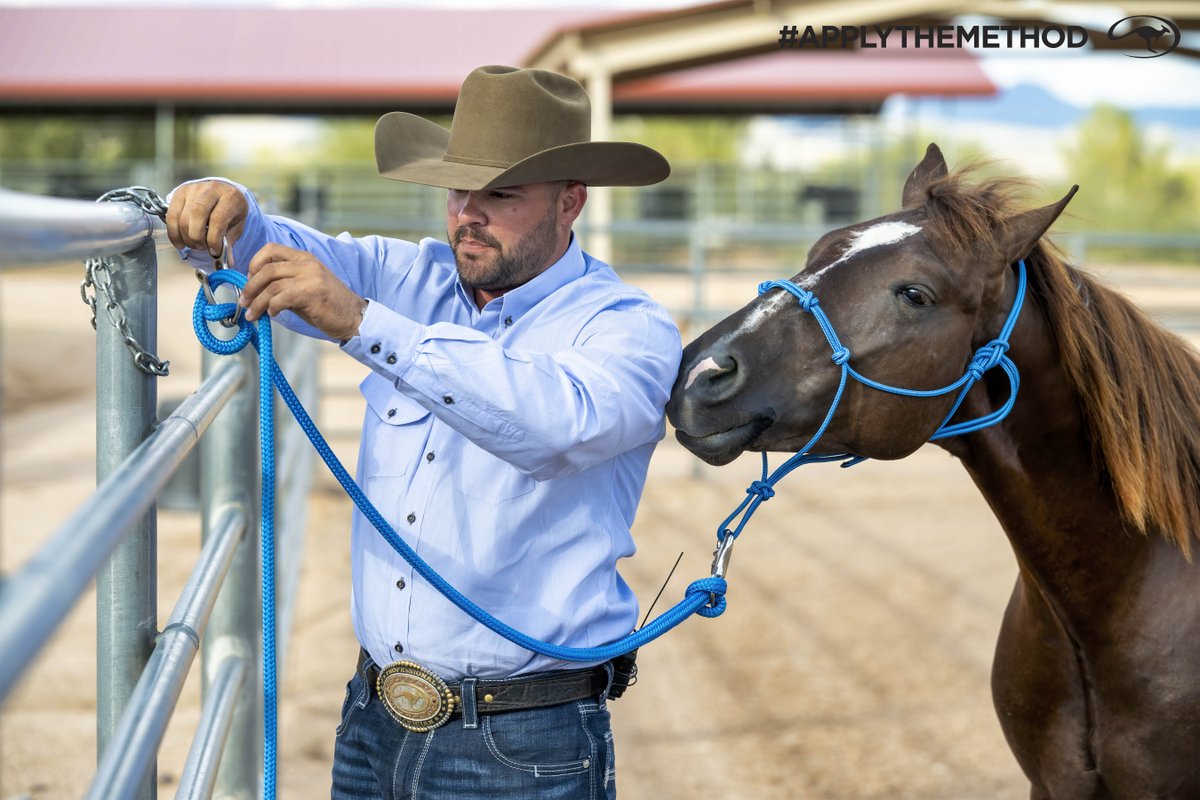 DownunderHorse's tweet image. When tying your horse up, safety should be your biggest concern. Learn how to safely tie your horse up in this training guide ➡️ downunderhorsemanship.com/tying-horse-up…
#ApplyTheMethod