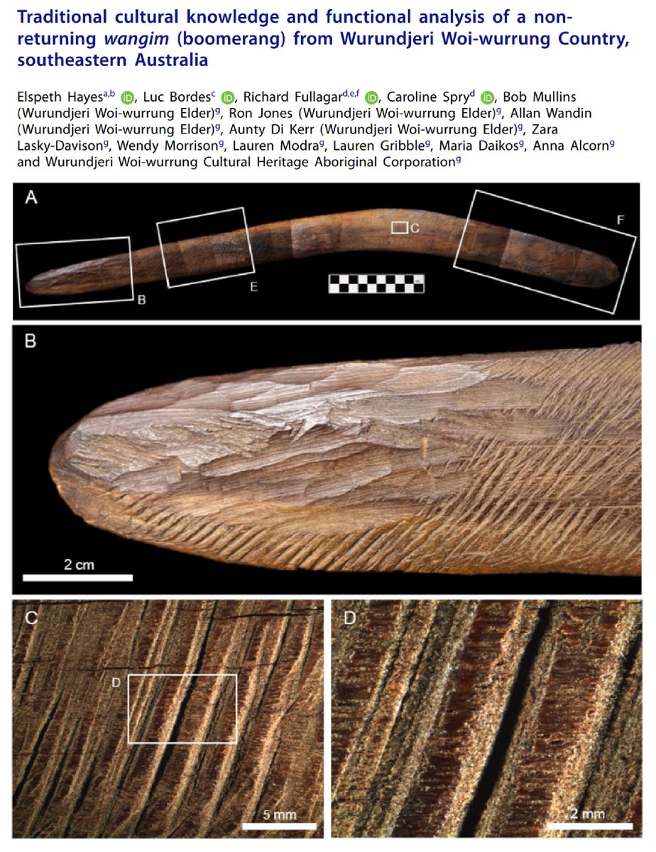Australian Archaeology tweet media