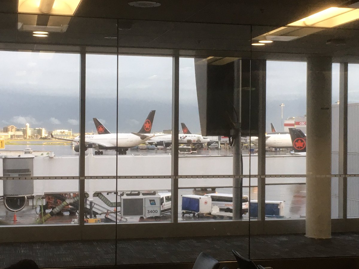 On the road again.

#HaloWC #Halo