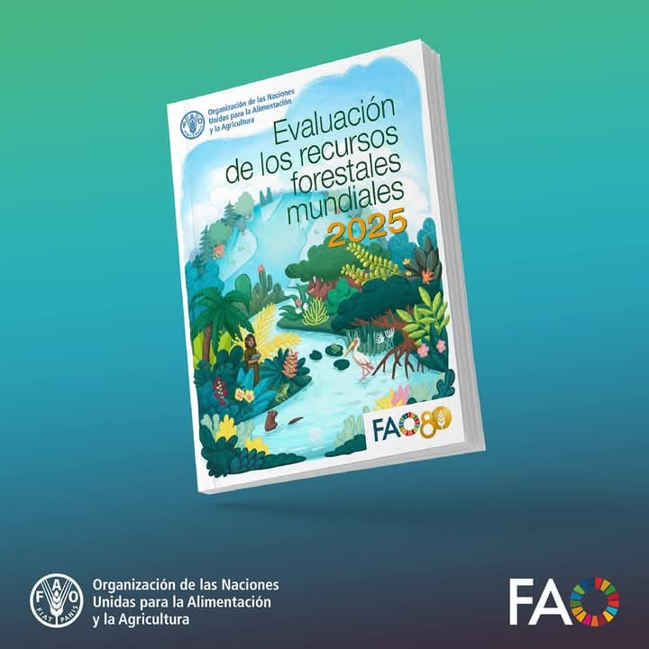#Internacionales #RecursosForestales
Los bosques del mundo superan los 4.000 millones de hectáreas y casi la mitad se concentran en zonas tropicales, según informe FAO 2025 argentinaforestal.com/2025/10/22/los… 
<a href="/AfoaArg/">AFOA</a> <a href="/intaargentina/">INTA</a> <a href="/agriculturaar/">Secretaría de Agricultura, Ganadería y Pesca</a> <a href="/FAOArgentina/">FAO ARGENTINA</a> <a href="/WWF_LAC/">WWF Latinoamérica</a>