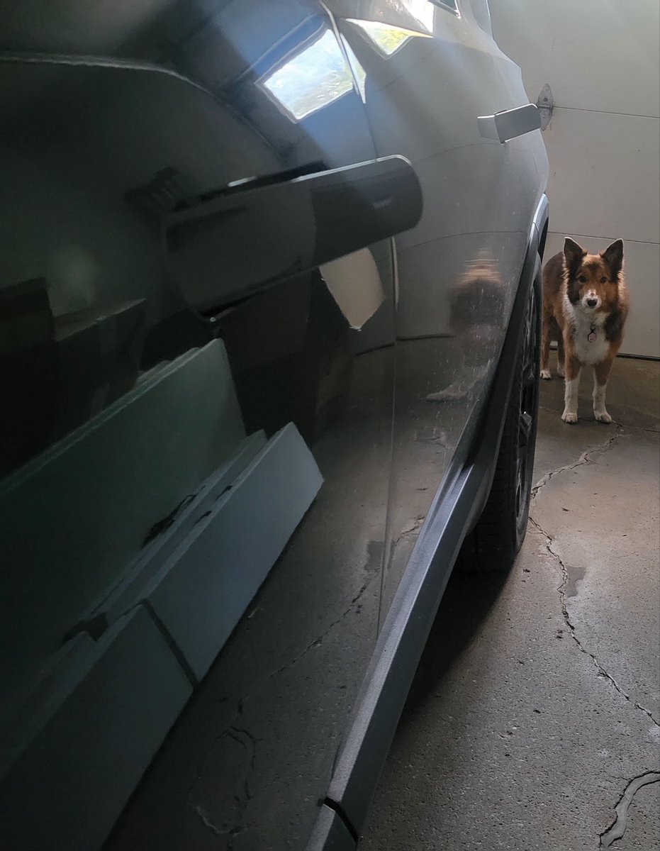 After bumping my elbow on this handle in the garage a couple of times, I realized I am grateful that they fold in, when I park in public.