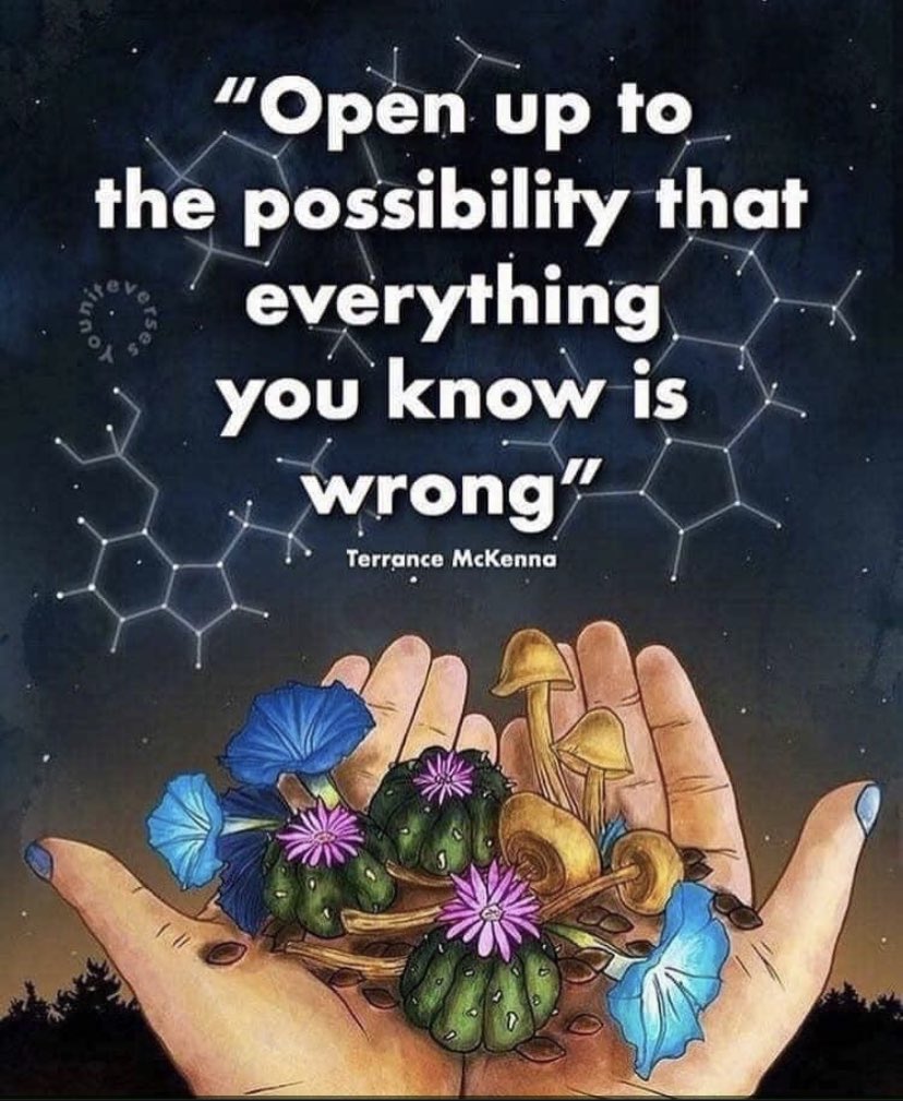 redpillbot (@redpillb0t) on Twitter photo 