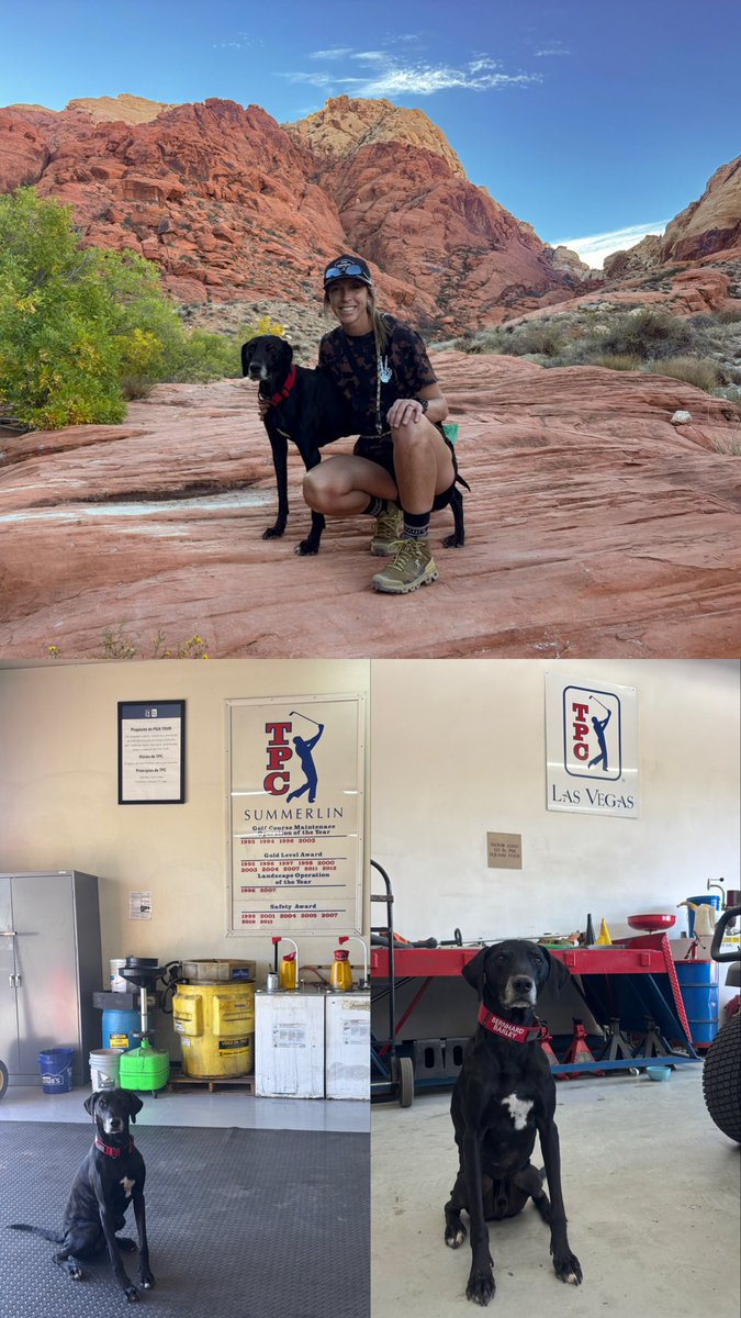 A great few days grinding with the guys at TPC and evenings with Barley boy exploring some beautiful trails. When I think of Las Vegas, I don’t think of the miles and miles of red rock trails just outside of the city. Time to go see some more courses before heading back to AZ!