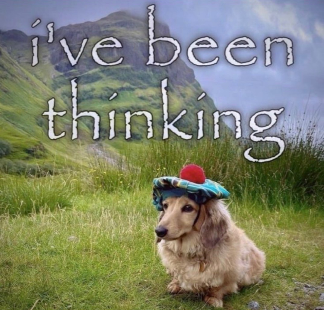 Nickelthehobo (@hobonickell) on Twitter photo 