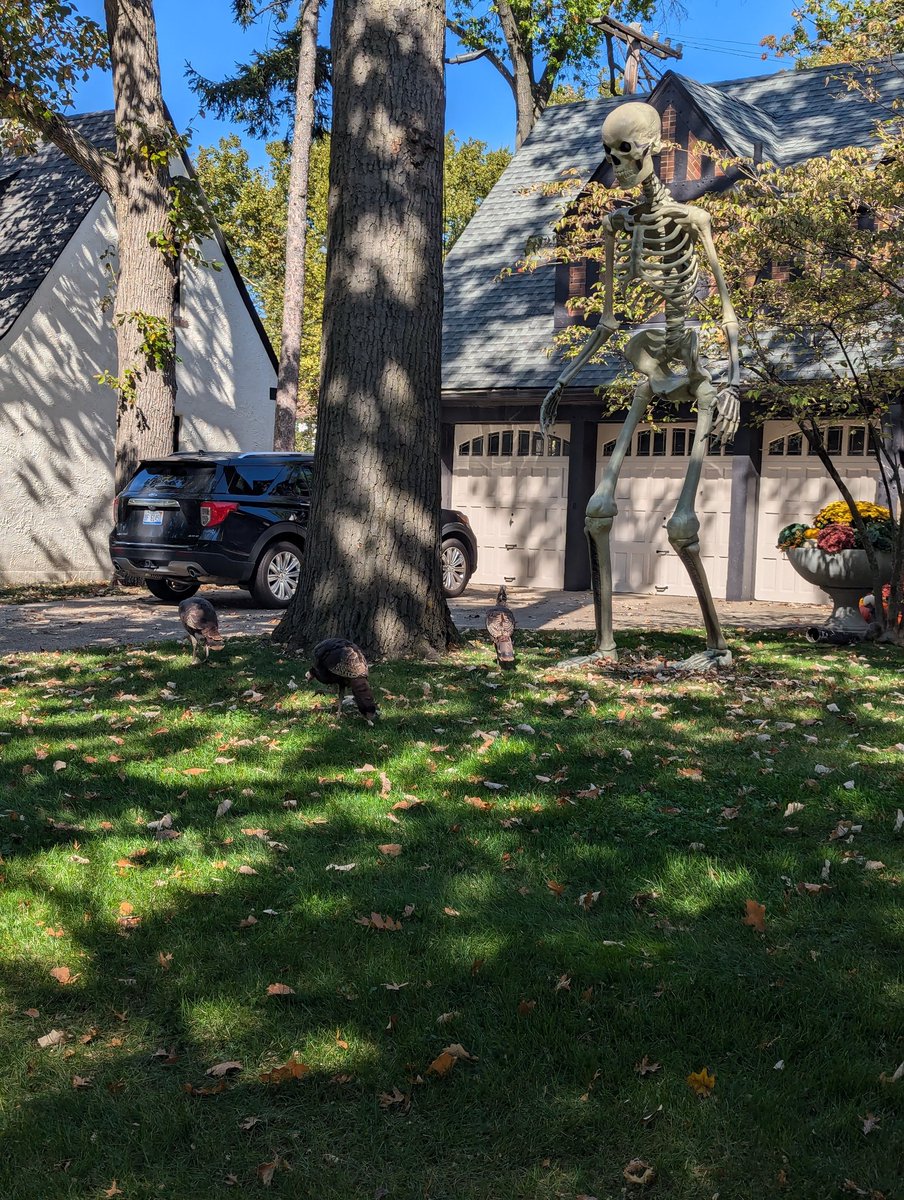 Adrienne tweet media