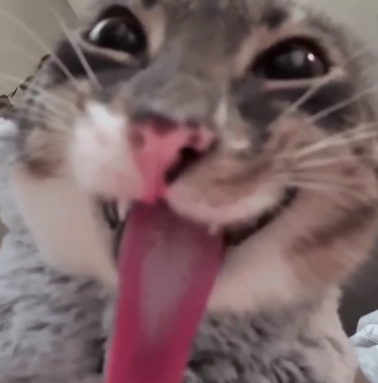 THEY FIXED HIM THANK GOD-