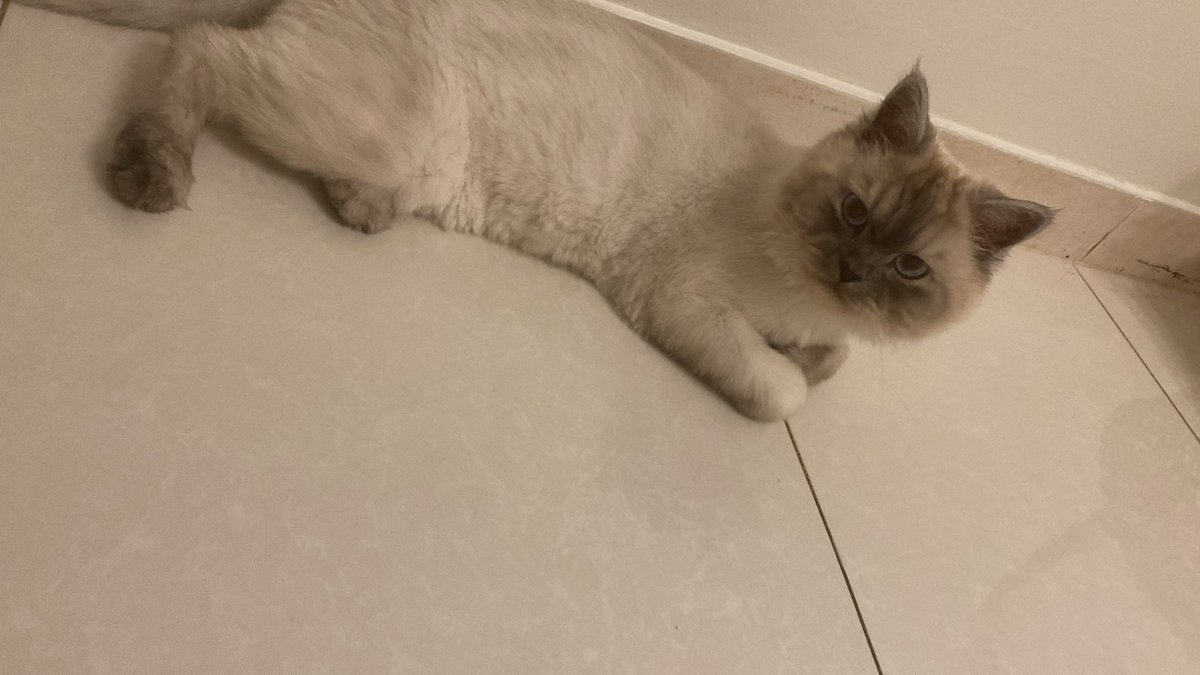 غيووم🇸🇦🇸🇦 tweet media