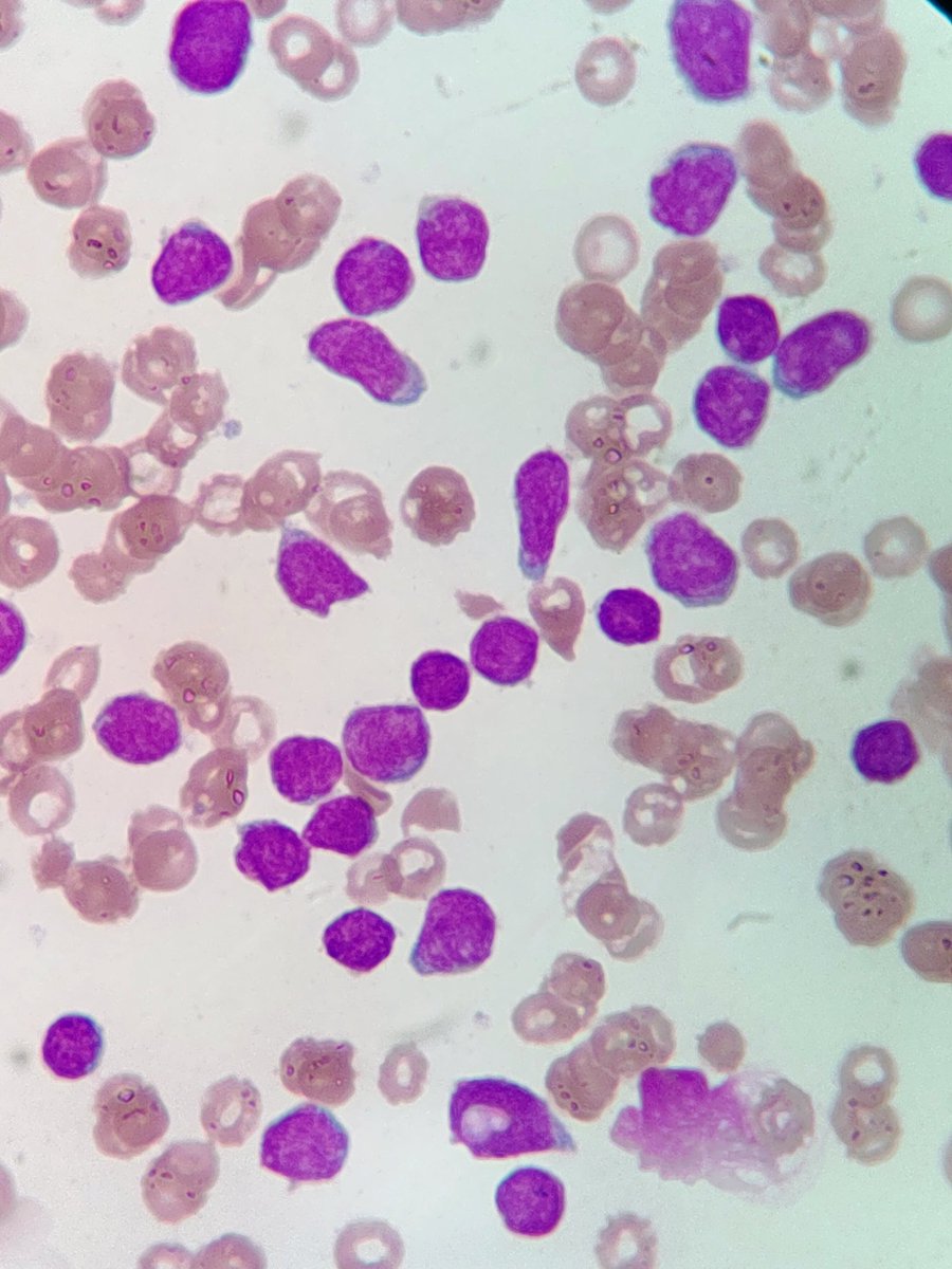 La interconsulta de la semana.