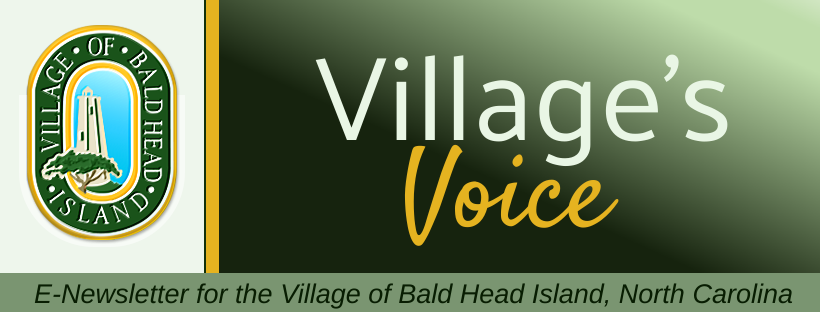 The latest issue of the Village's Voice is published! 
📰Read it here!
ow.ly/MGUx50XgBsK