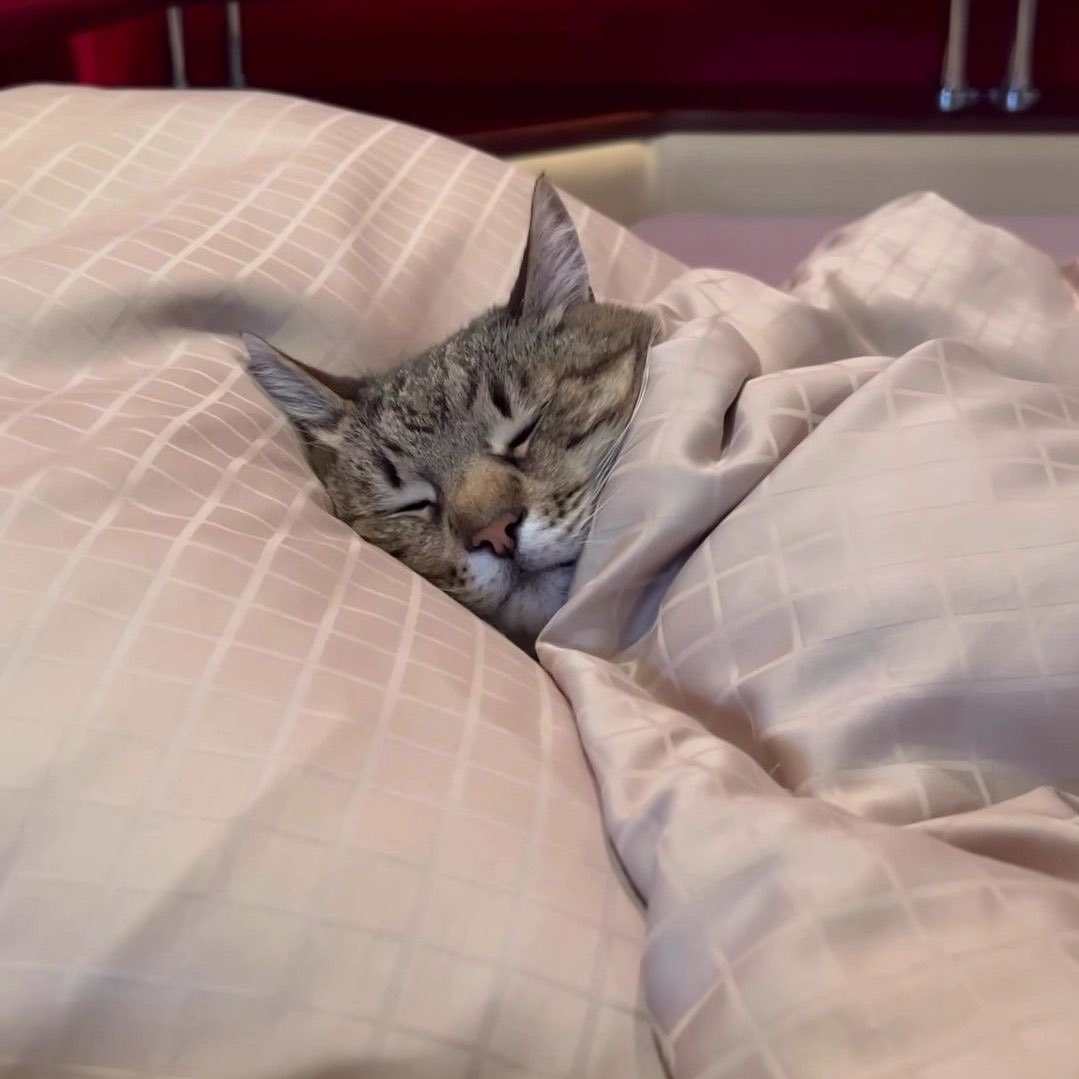 jj =^-^= (@is_sannie_) on Twitter photo 