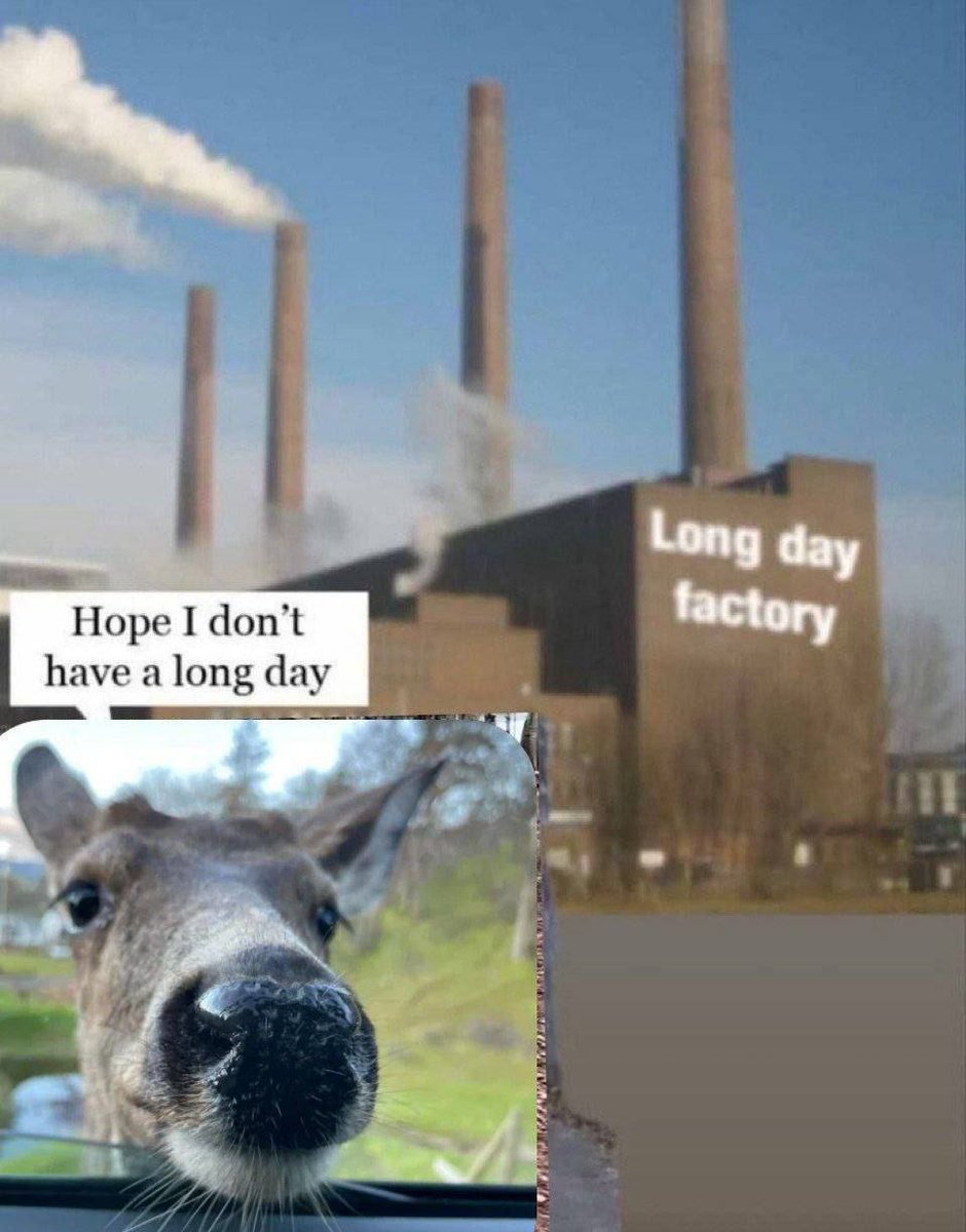Deerpostss's tweet image.