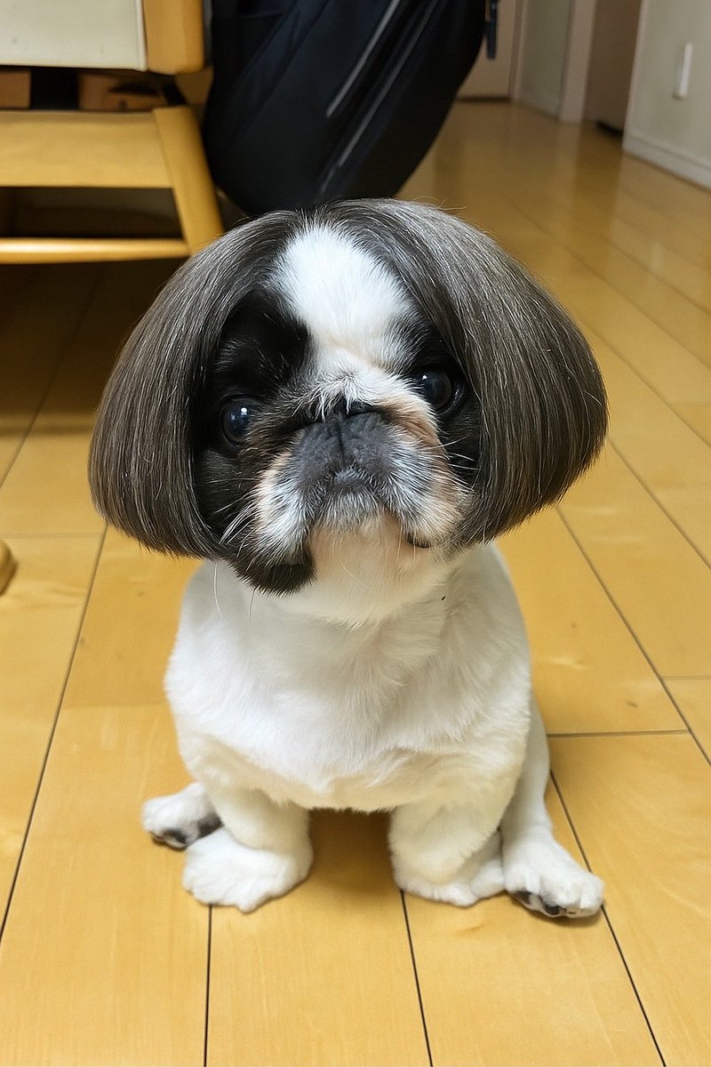 Timo_peki's tweet image. おはようございます😊
またまたパパさんがやってくれました😅
永野さんになっちゃった🤣🤣
ちなみにラッセンには興味ありません
キャベツ命です🤣