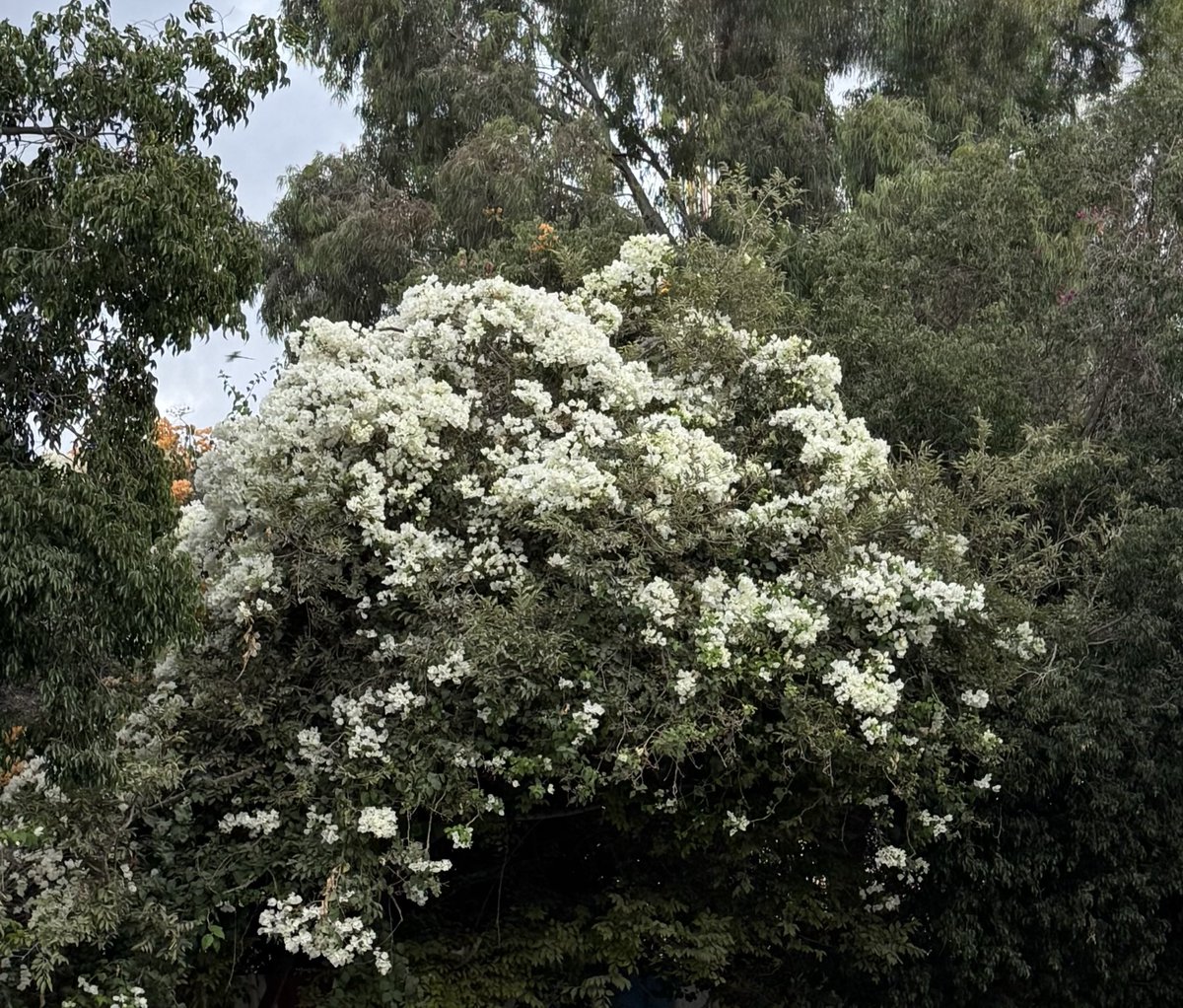 اللهم أنِر دربي واملأ قلبي بنورك واجعل في 
ضحكتي بركةً وسرورًا ♥️