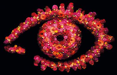 Ryan Ashmore 👑 tweet media