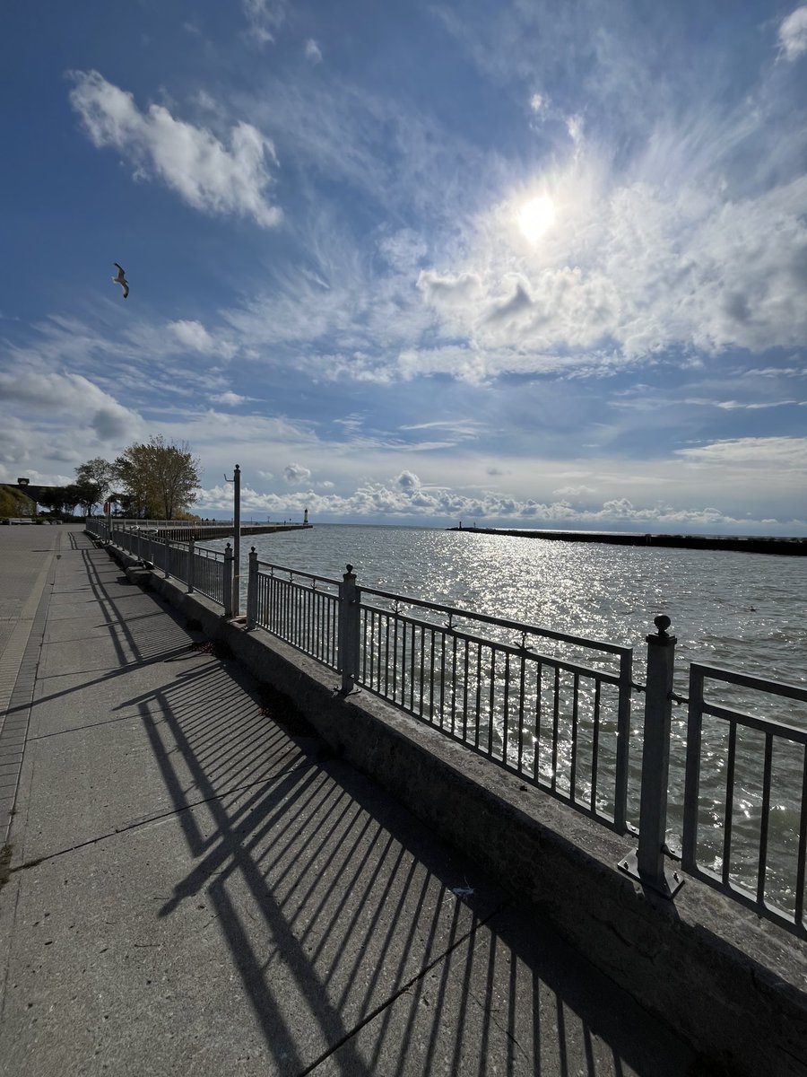 Joe Mathieu (@joe_mathieu_) on Twitter photo 