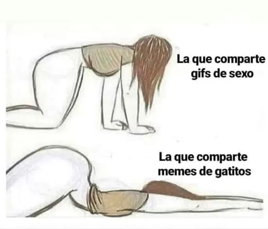 bjs_alejo2's tweet image. 