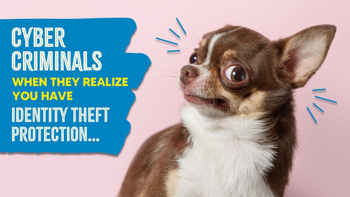 jacksonhewitt's tweet image. Think identity theft can’t happen to you or your family? Why take the risk? Protect what’s priceless with Identity Theft Protection from Jackson Hewitt and ID Watchdog®. Learn more at ms.spr.ly/6018sh6xI. #IdentityTheftProtection #ProtectYourIdentity #JacksonHewitt…