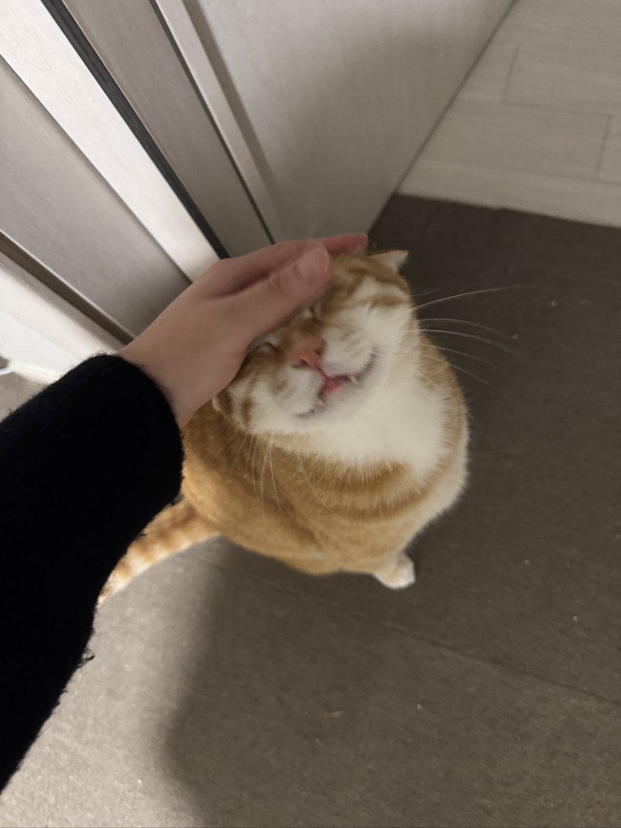 돈 벌어올게 더 자고 있엉!