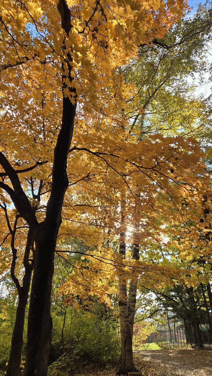 北海道で調査をしていますがすっかり秋ですね！