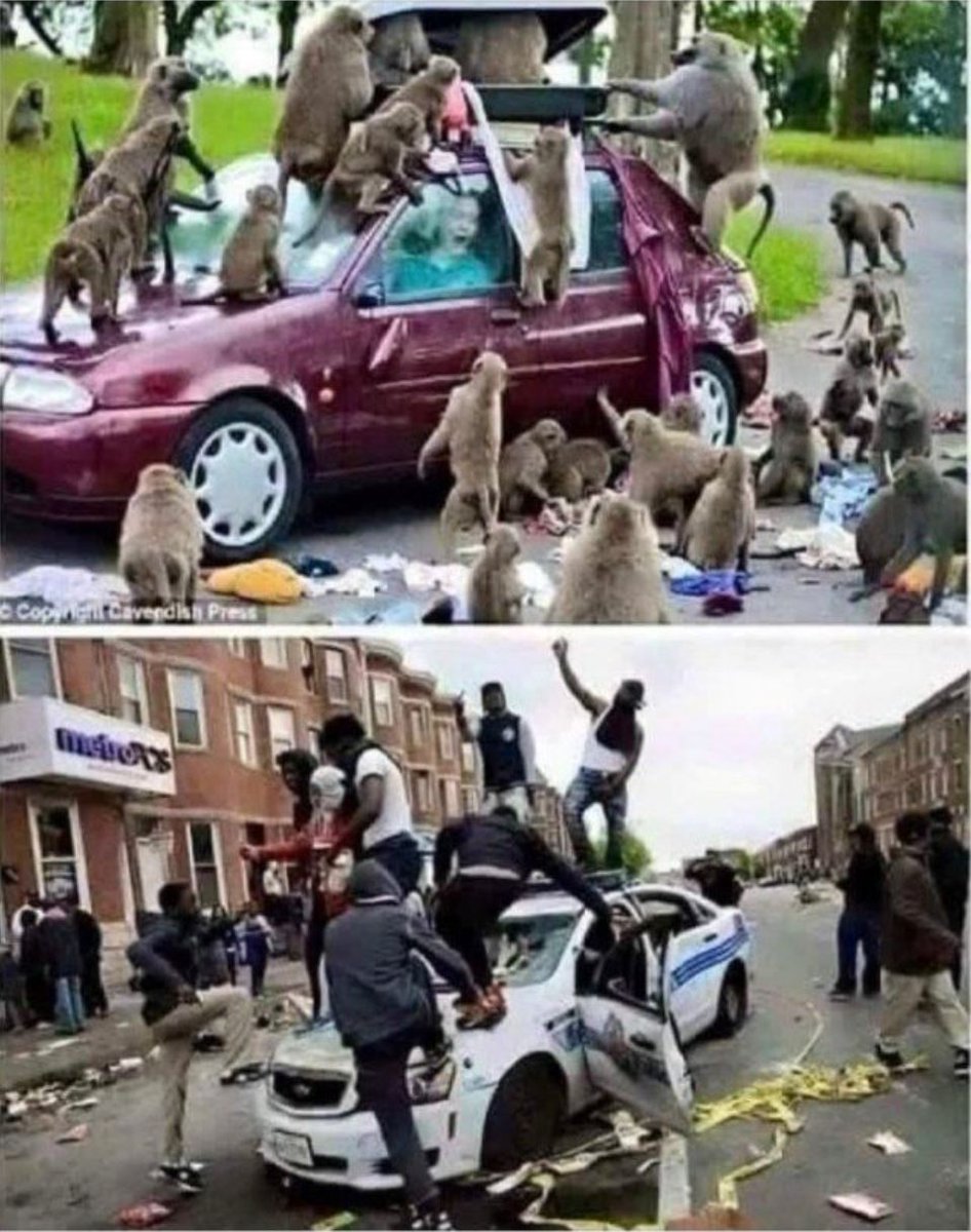 Spot the differences