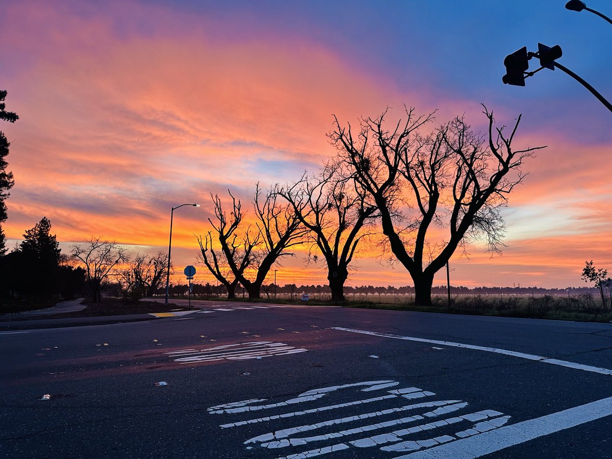 RogersLabUCD's tweet image. Our department @ucdavisvetmed @ucdavis is hiring! We welcome research that diversifies or complements existing strengths in gastrointestinal, neuroimmune, musculoskeletal, cardiorespiratory systems and/or developmental biology. @SocDevBio @ASCBiology